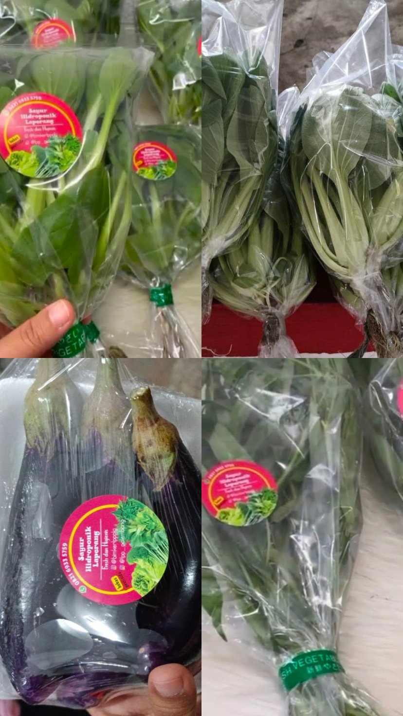 Aneka sayuran segar